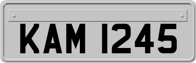 KAM1245