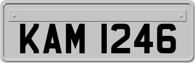 KAM1246