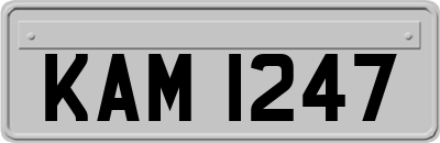 KAM1247