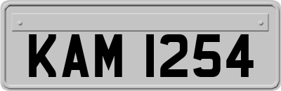 KAM1254