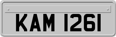 KAM1261