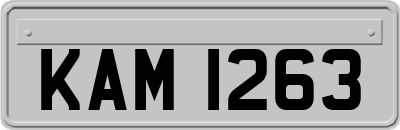 KAM1263