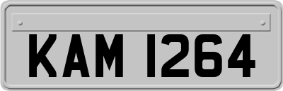 KAM1264