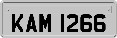 KAM1266