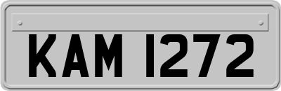 KAM1272