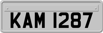 KAM1287