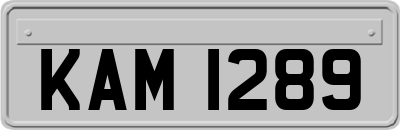 KAM1289