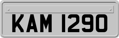 KAM1290