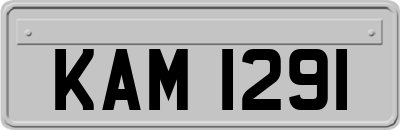 KAM1291