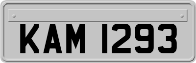 KAM1293