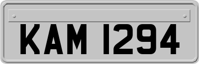 KAM1294