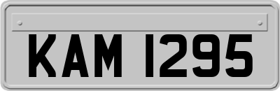KAM1295