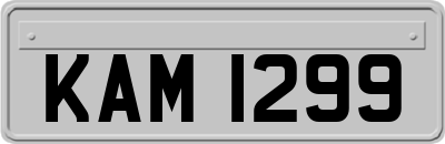KAM1299
