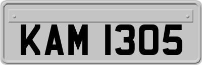 KAM1305