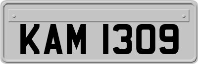 KAM1309
