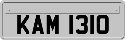 KAM1310