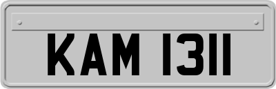 KAM1311