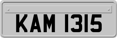 KAM1315