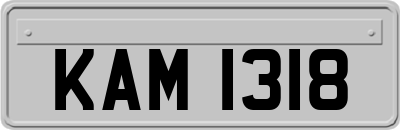 KAM1318