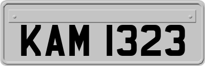 KAM1323