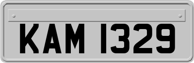 KAM1329