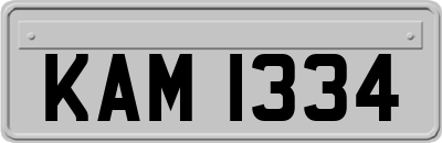 KAM1334
