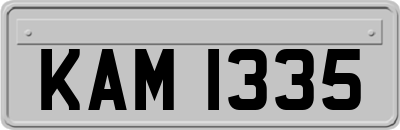 KAM1335
