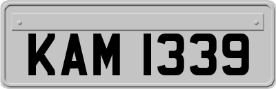 KAM1339