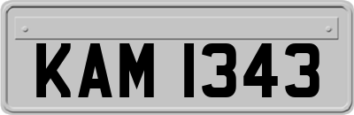 KAM1343