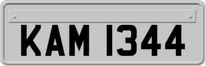 KAM1344