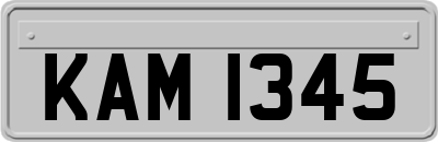 KAM1345