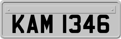KAM1346