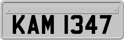 KAM1347