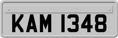 KAM1348