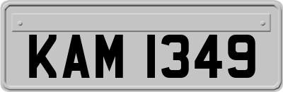 KAM1349