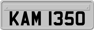 KAM1350