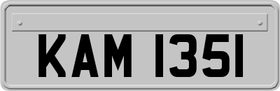 KAM1351