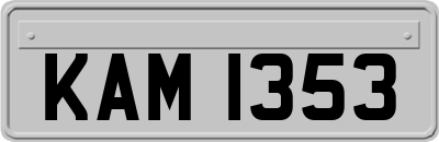 KAM1353