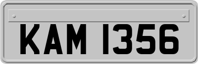 KAM1356
