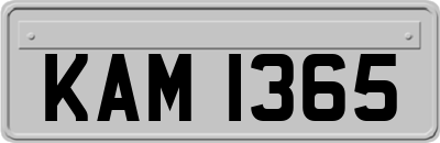 KAM1365