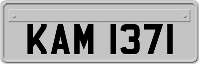KAM1371