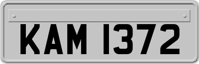 KAM1372
