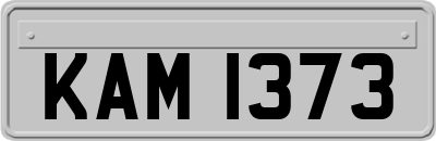 KAM1373