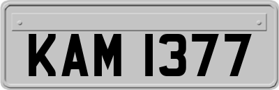 KAM1377