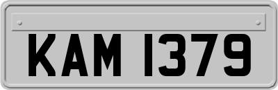 KAM1379