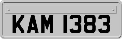 KAM1383