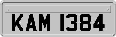KAM1384