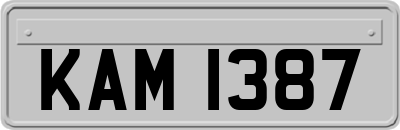 KAM1387