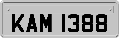 KAM1388