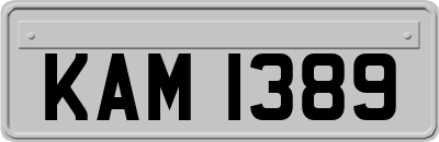 KAM1389